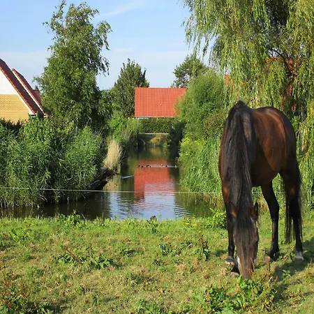 Detached House With Sauna And Whirlpool, 19 Km From Hoorn Holiday home Andijk